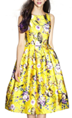Sheinside Women's Sleeveless Owl Print Dress