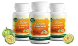 Garcinia Cambogia Extract