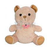 Hardwired Teddy Bear Color Camera